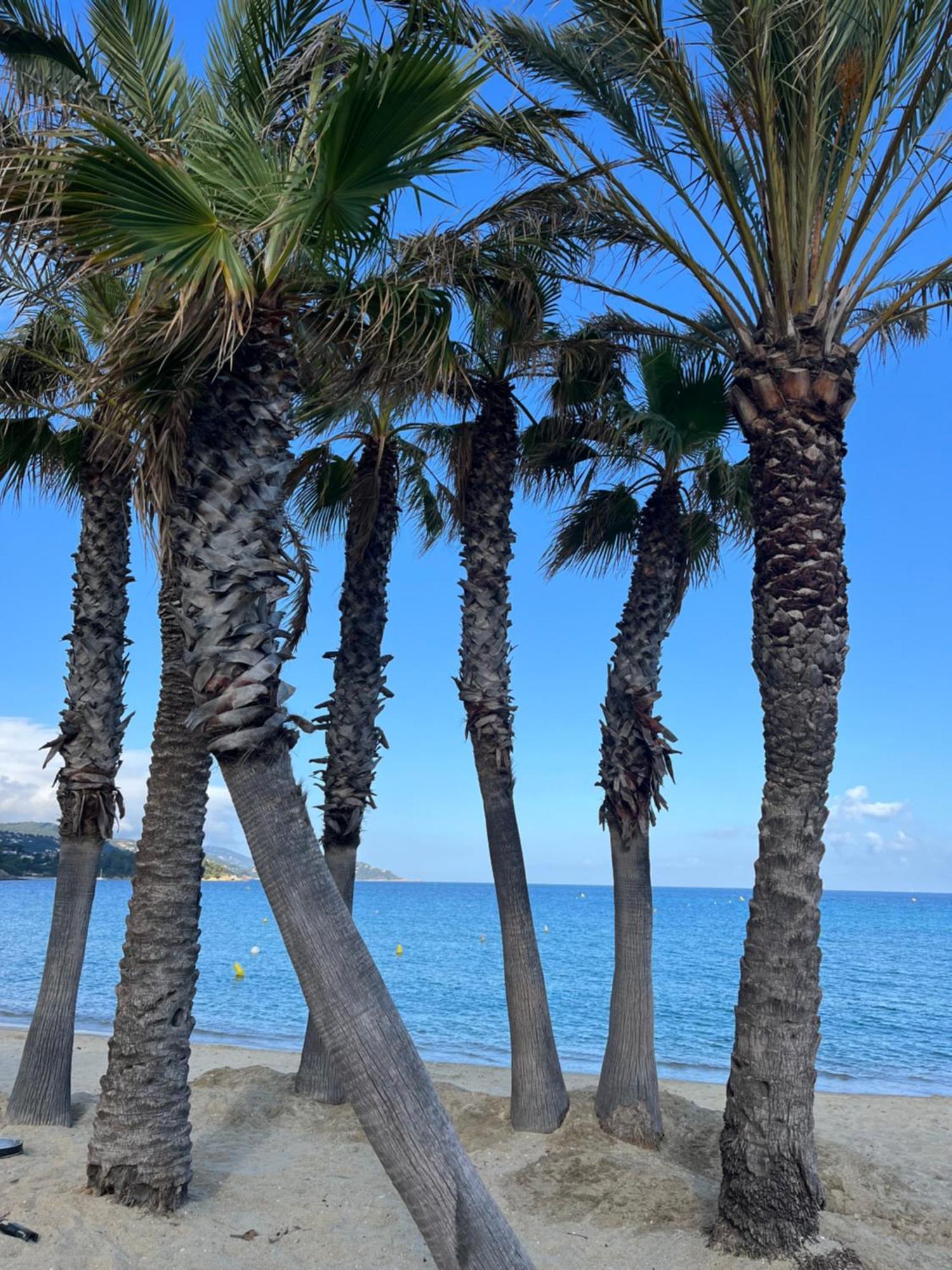 Le Lavandou St Clair ภายนอก รูปภาพ